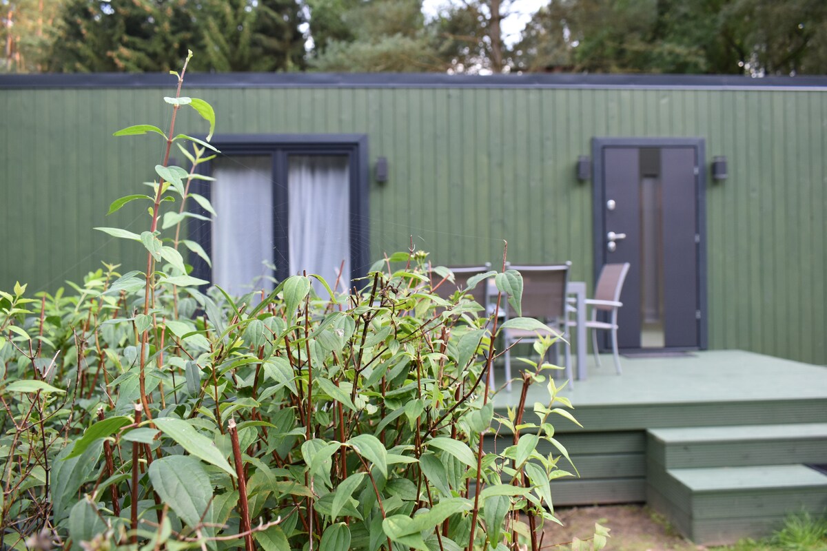 The exterior of a tiny house is highlighted by a green wooden facade, featuring a small porch with outdoor seating. A modern door provides access, while lush foliage in the foreground adds to the natural setting.