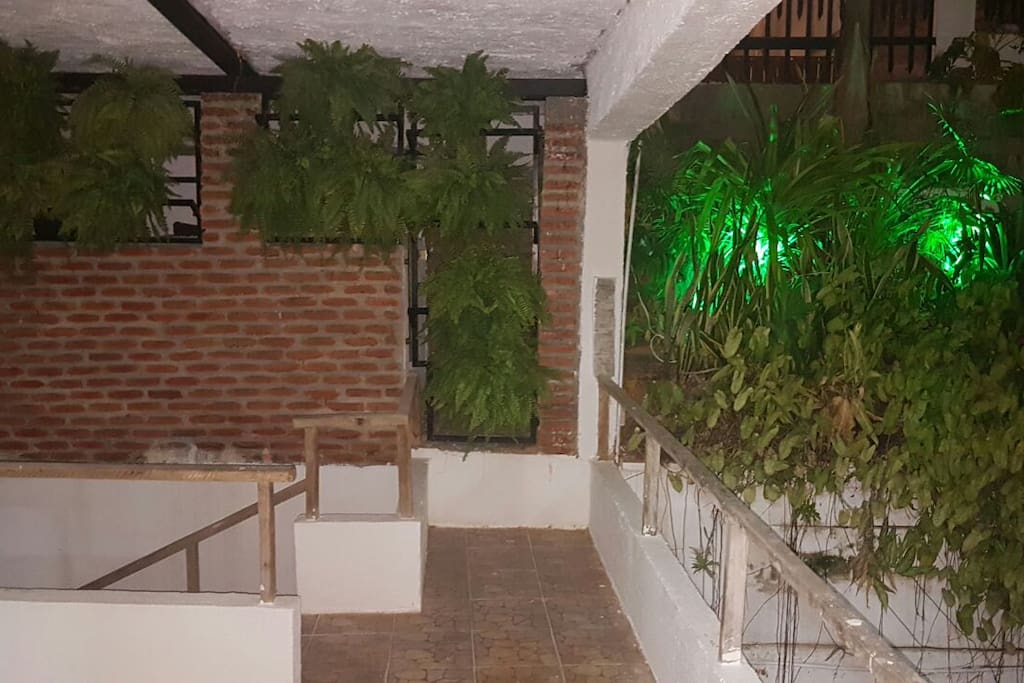 Ambiente - Jardim suspenso