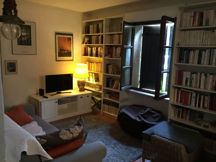 Canapé-lit couchage 140, alcôve avec lit 1 place, Écran plat . Wifi. Bibliothèque