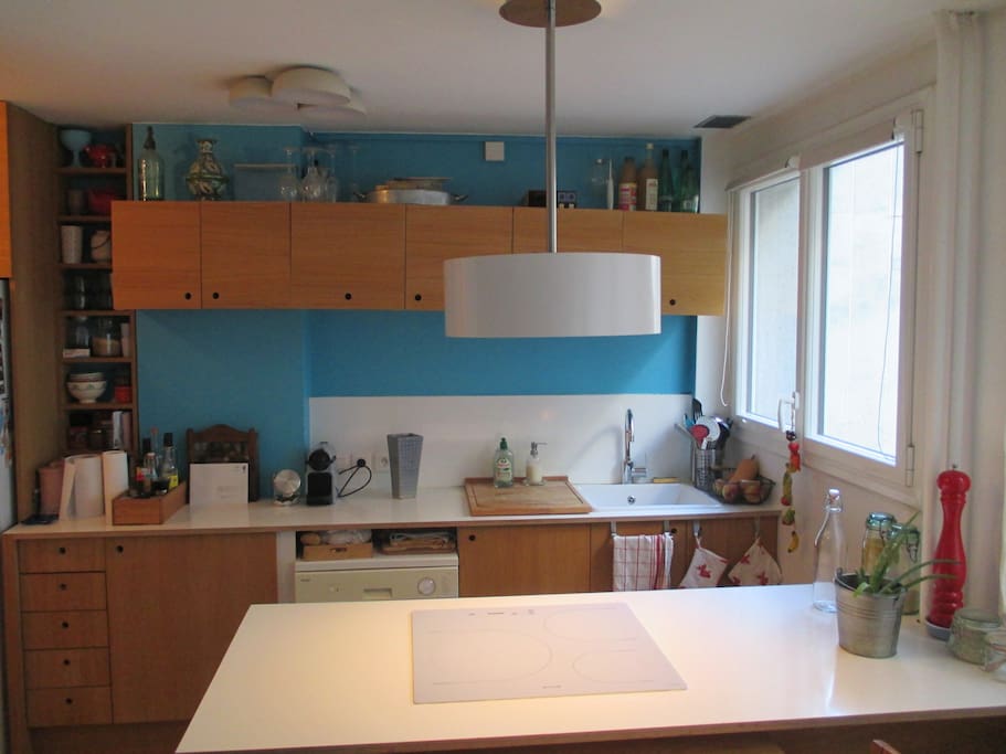 cuisine entièrement équipée (réfrigérateur, congélateur, lave-vaisselle, four, plaques de cuisson à induction)
