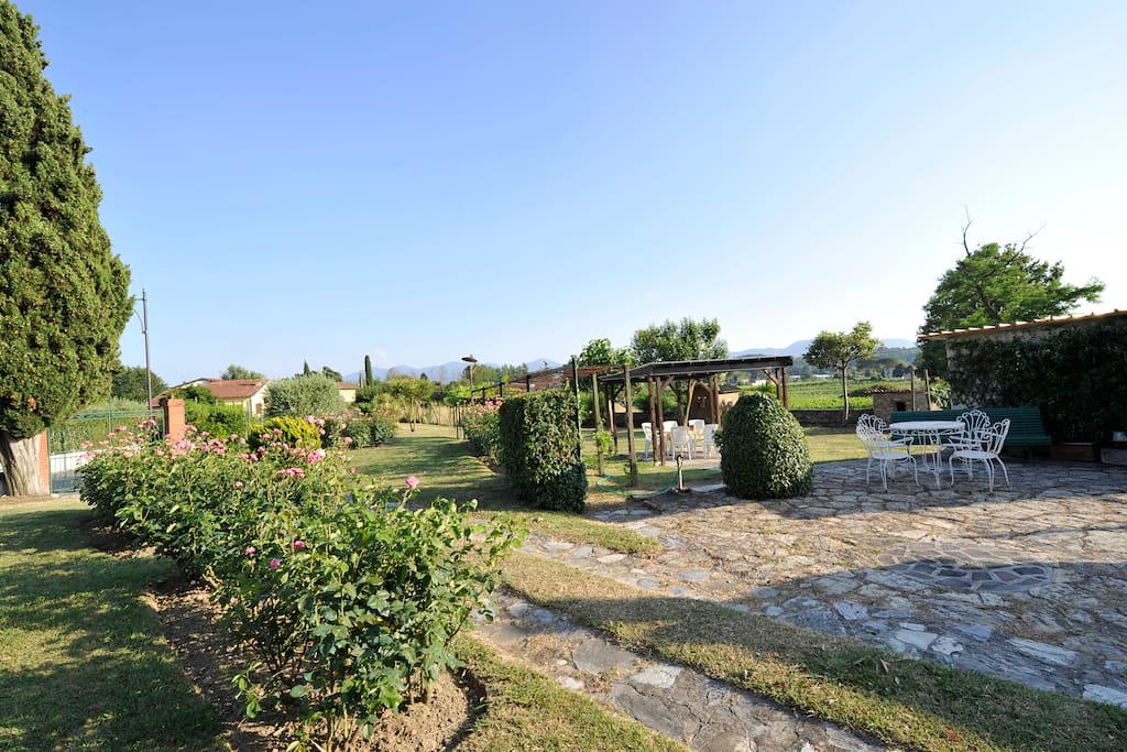 Una veduta dall'alto del giardino