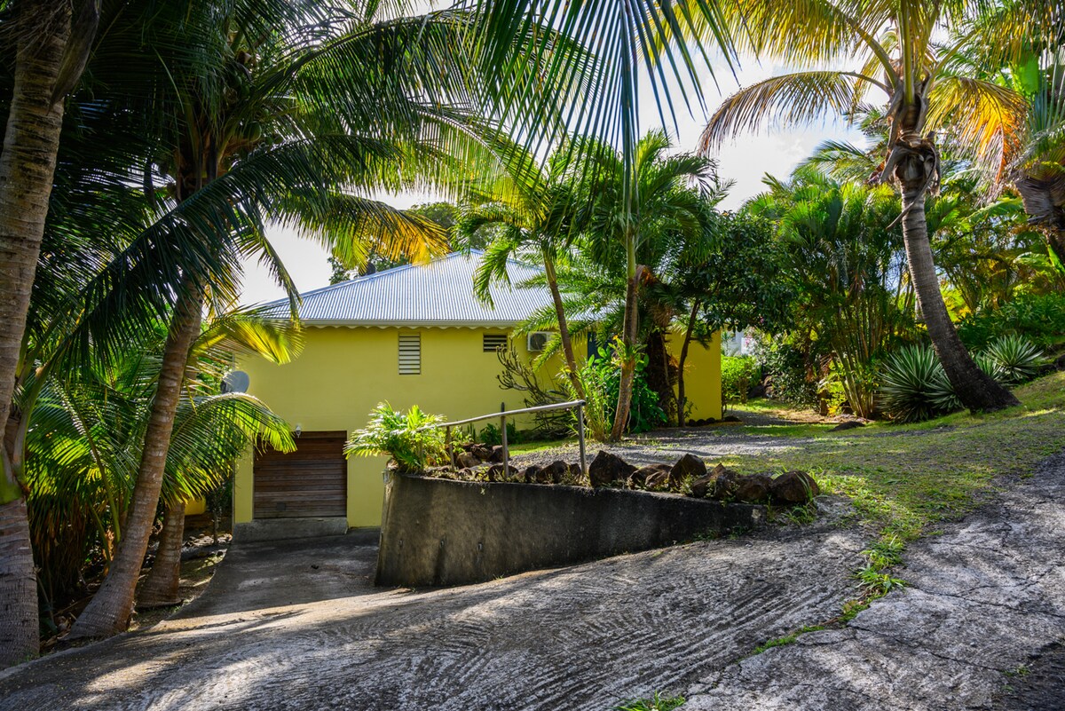 A bright yellow house is nestled among lush tropical foliage. The sloping driveway leads to the entrance, framed by tall palm trees and various plants. The sunlight filters through the leaves, creating dappled shadows on the ground.