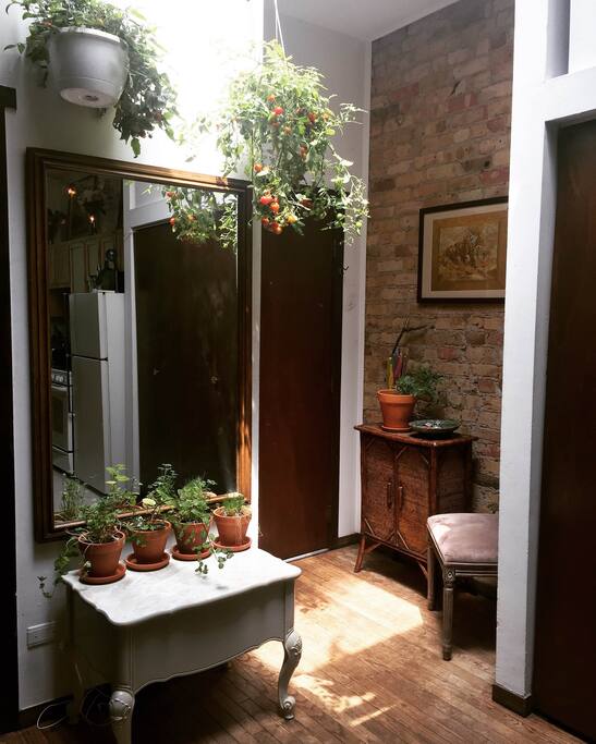 Fresh Tomatoes and Herbs