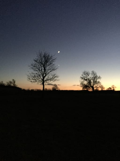 Another gorgeous sunset in our little Nettleton Shrub!