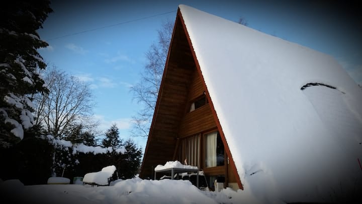 Waterfront Chalet Lac de Joux