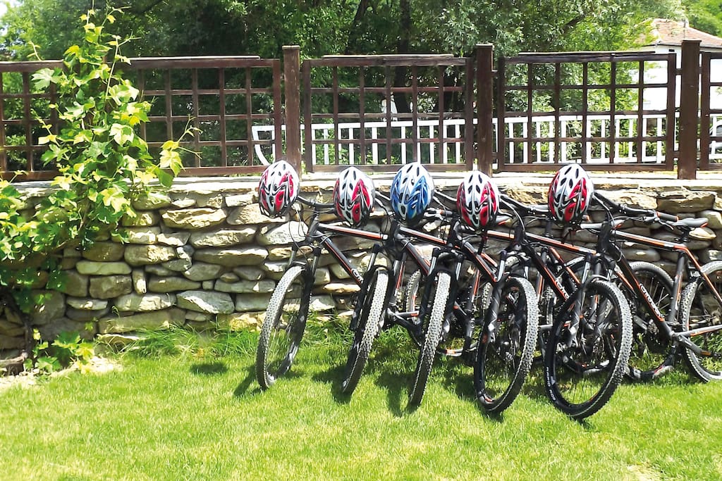 Bulgaro-Serbian mountain cycle track near by, bycicles available