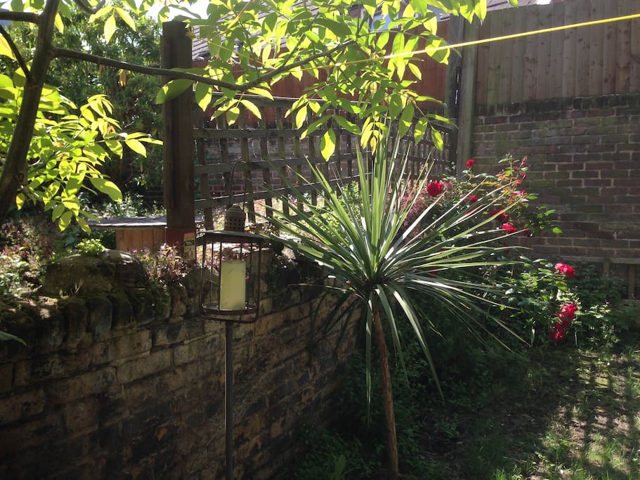 Peaceful Back Garden