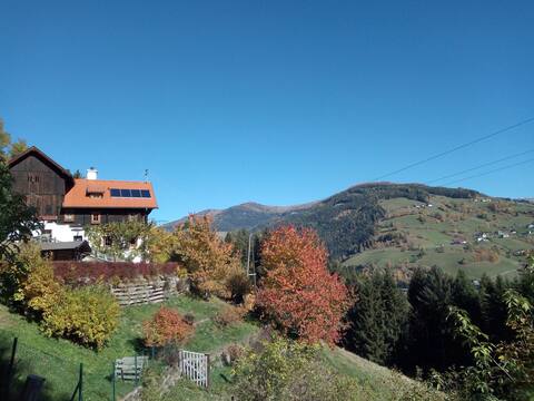 FW Snoopy in 300yr Old Mountain Farmhouse at 1110m