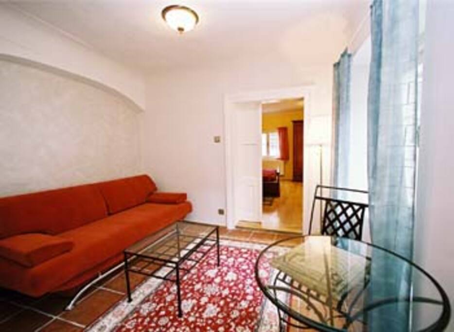 Living room with a very comfortable convertible sofa for 1-2 persons (opens in a full size double bed).