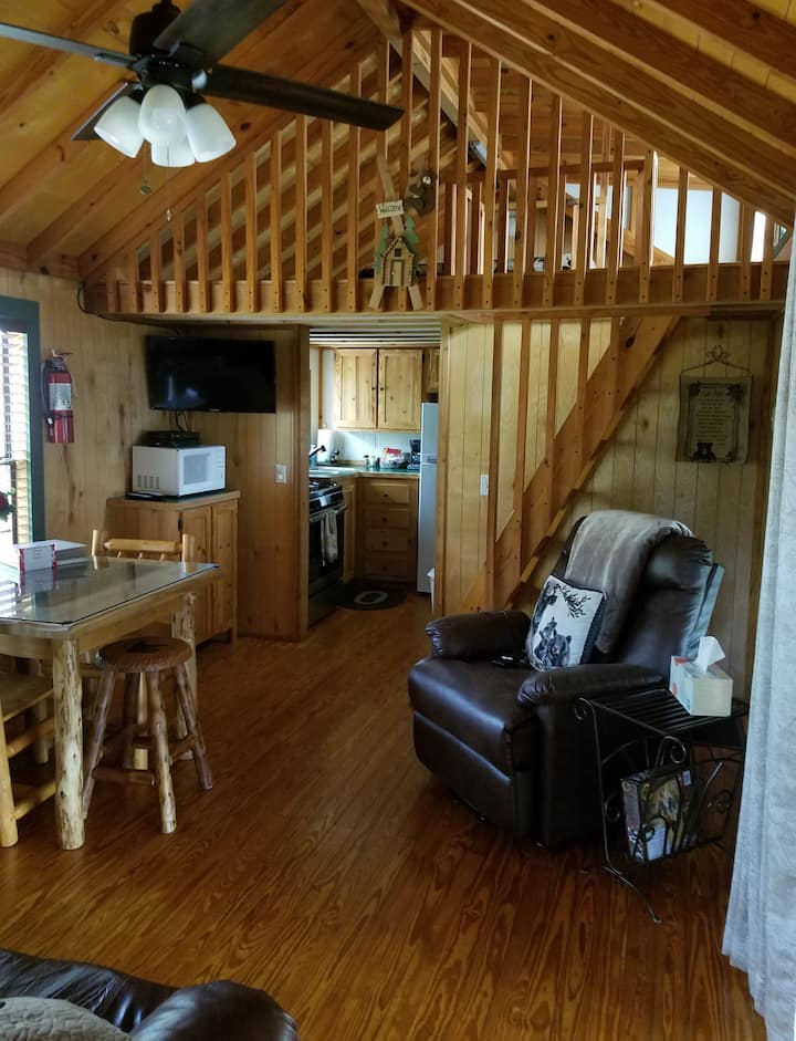 Bear Cabin with Hot Tub at Solitude Pointe