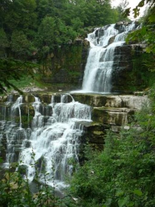 Chittenango Falls in front yard is only ~13 feet shorter than Niagara!