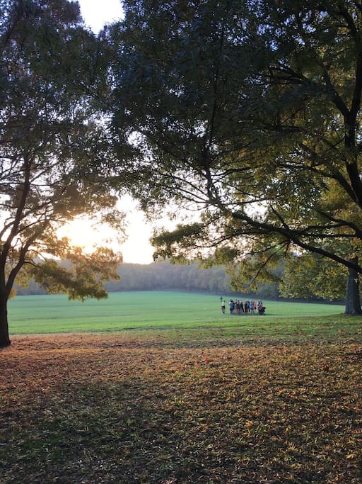 The stunning sunsets in primrose hill park