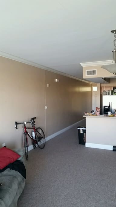 Spacious living room and kitchen