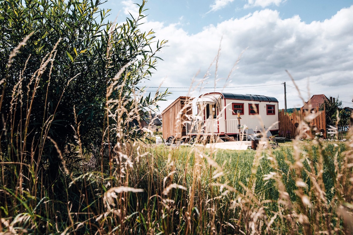 A charming accommodation is nestled among tall grass and gentle shrubs. The exterior displays a classic design with a white and red color scheme, complemented by a wooden deck. Soft clouds drift overhead, offering a peaceful ambiance in a natural setting.