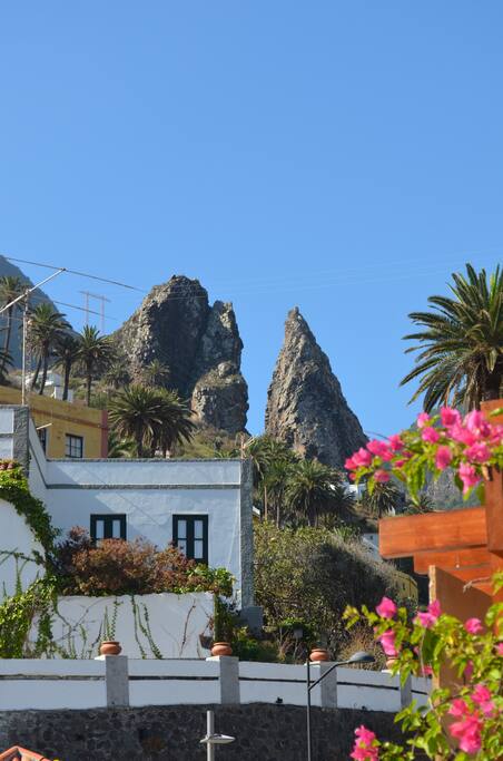 Vista desde la casa