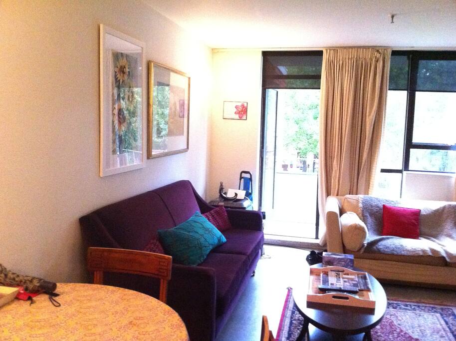 Light filled spacious open planned lounge with wall to wall windows and Balcony overlooking a lovely tree lined street