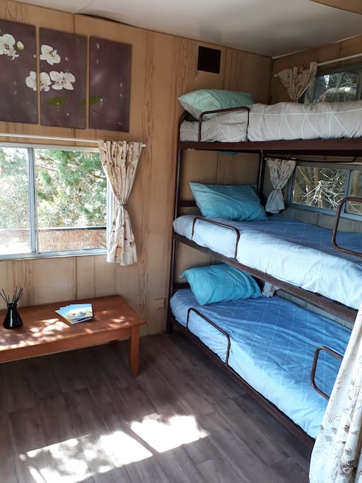 Cabin Bunk Beds