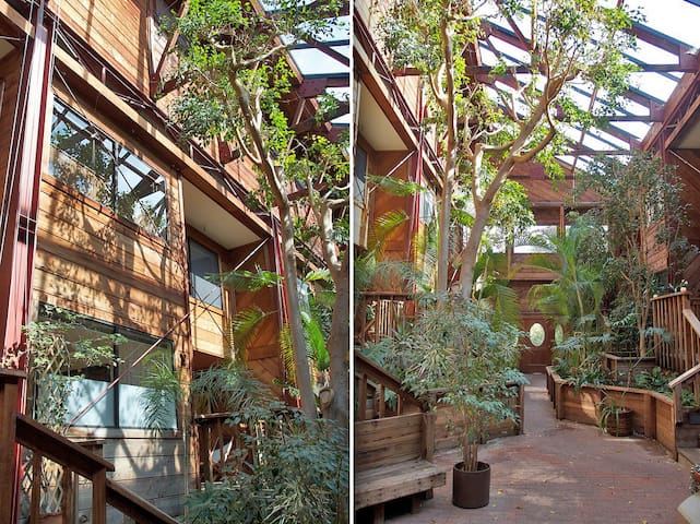 Modern Redwood Oasis in Rockridge