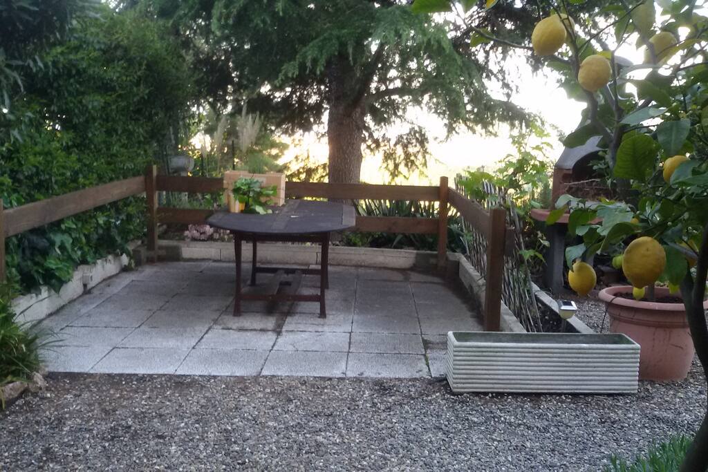 Giardino