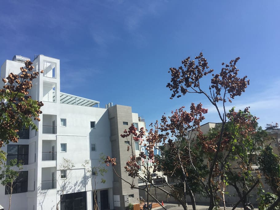 民宿全棟外觀