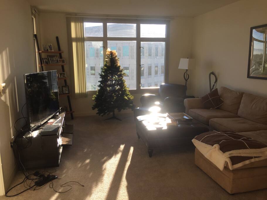 Bright/comfortable living room with 55 in Sony HDTV