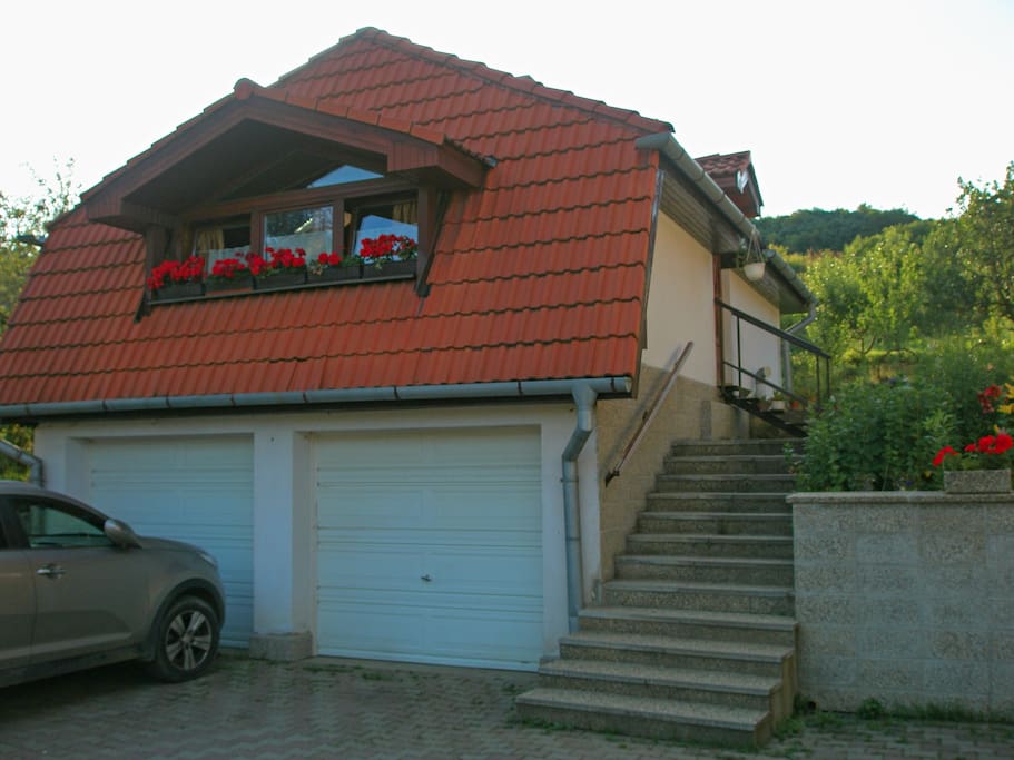 Front view