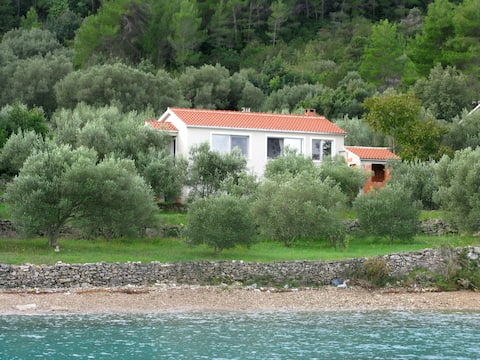 House Korina