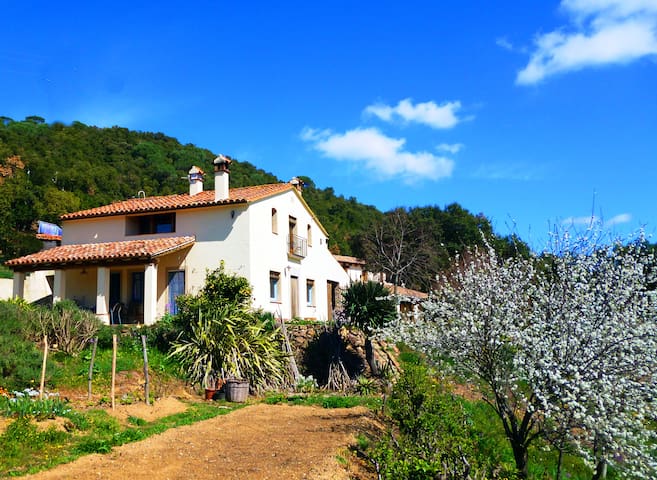 Beautiful old farmhouse with pool II  (PG-502)