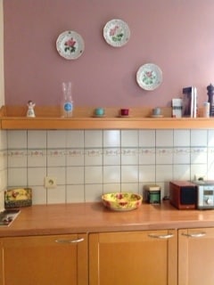 A compact kitchen area features a wooden countertop complemented by decorative plates mounted on a pink wall. A microwave and a small electric oven are present, along with a vibrant bowl and various canisters. Subtle lighting enhances the functional space.