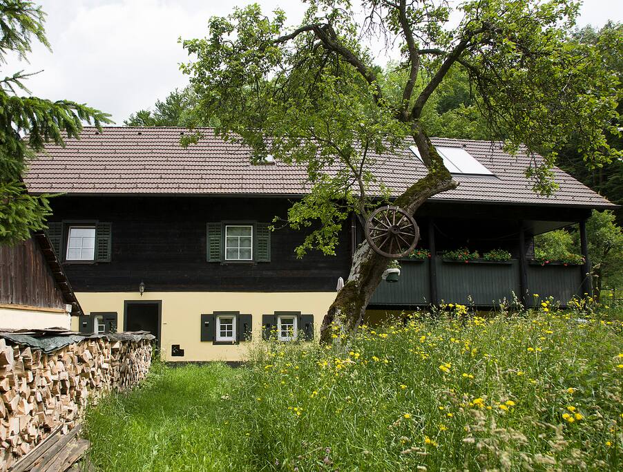 Single wohnung pressbaum