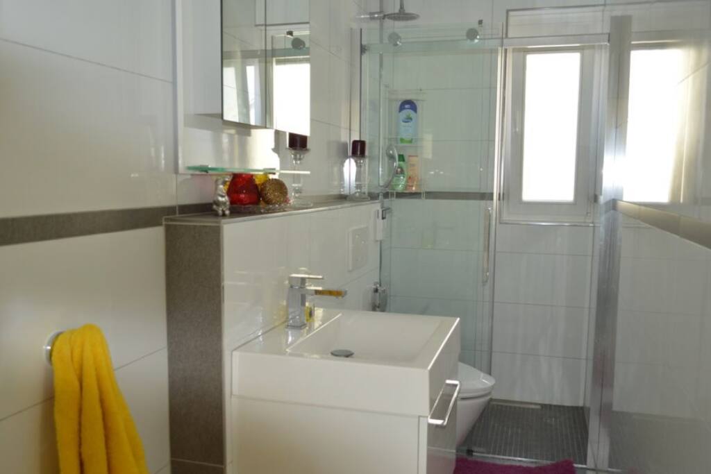 Lower Level Bath Room with Shower