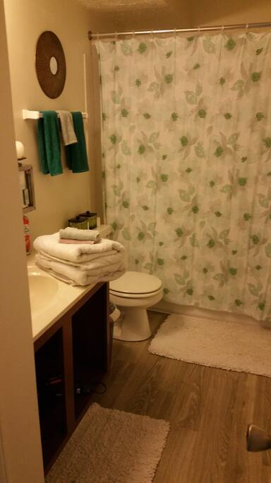 Full bath and shower includes all essentials.