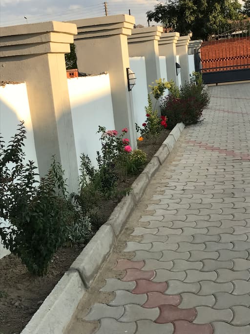 Enjoy the garden