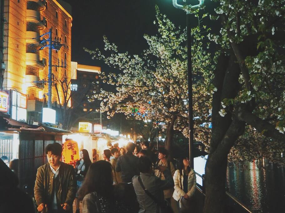 中洲屋台 整个日本的40 的大排挡都在这里了 福冈旅游攻略 尽在airbnb爱彼迎