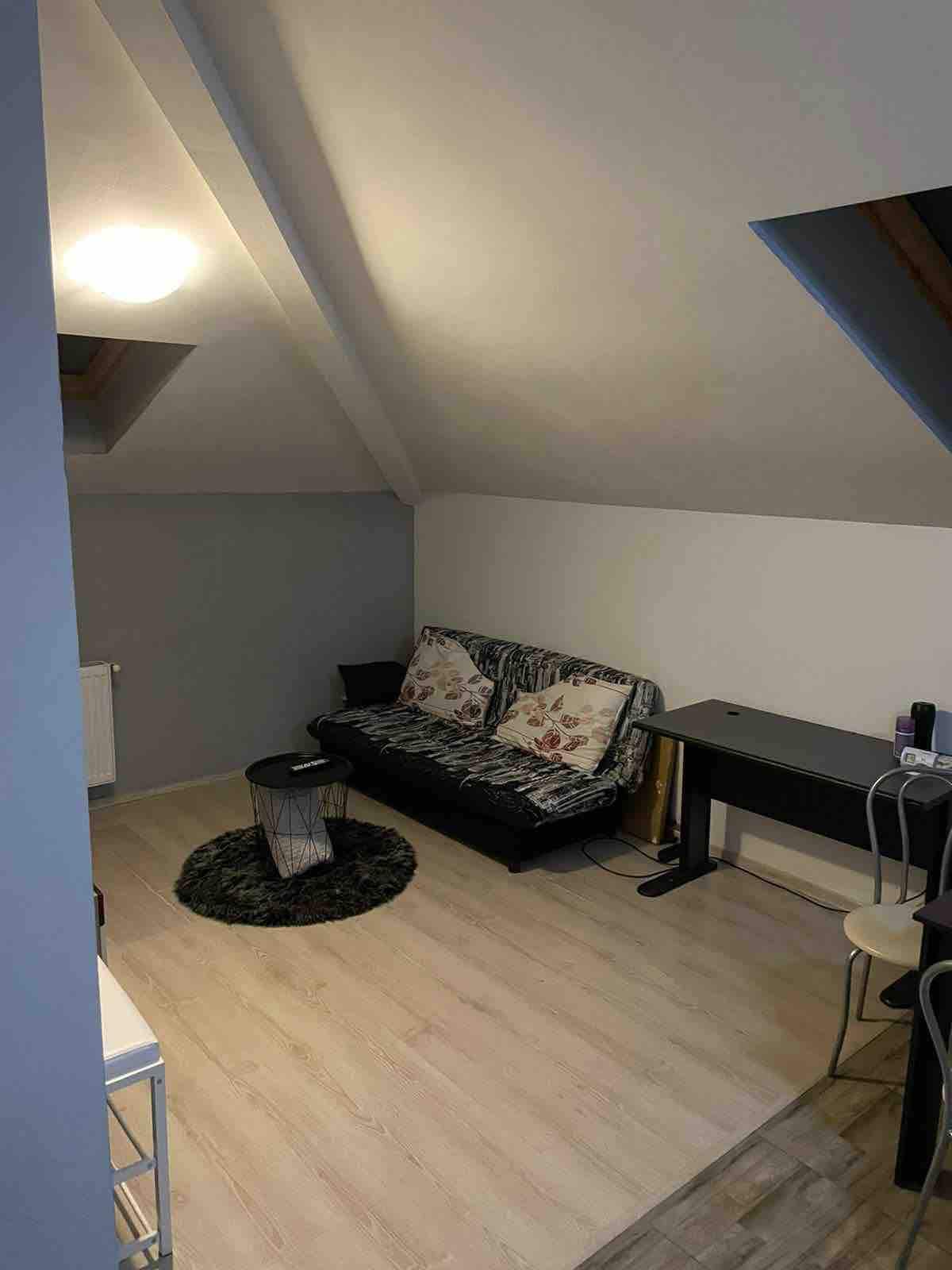 The living area features a foldable sofa adorned with floral cushions, set against a neutral wall. A small side table complements the seating, while a sleek desk is positioned nearby. Natural light enters through the skylight, illuminating the light wood flooring.