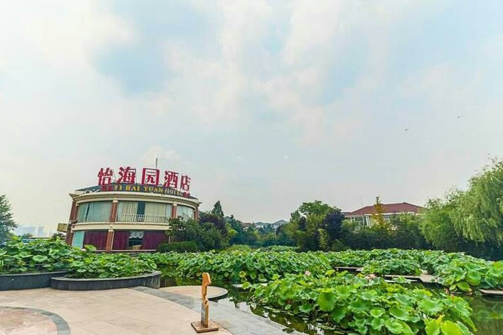 小区的酒店,荷花池
