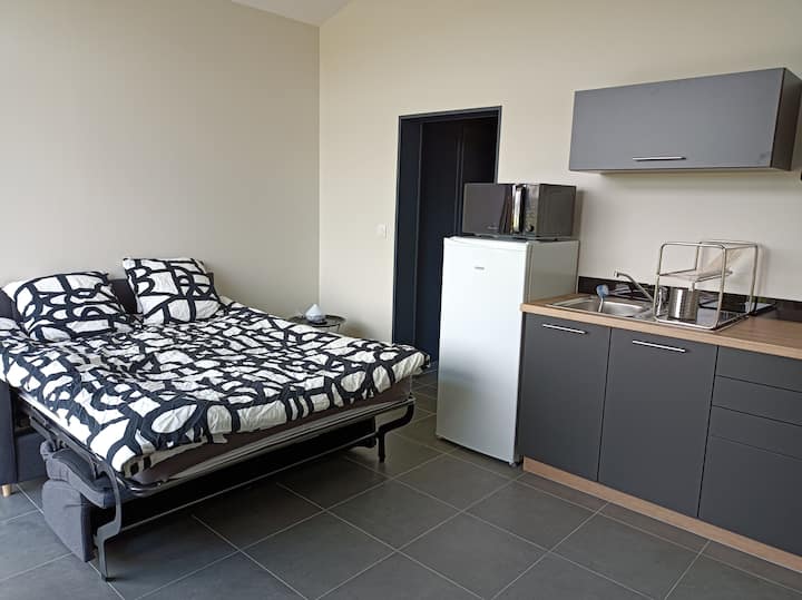 ห้องนั่งเล่นพร้อมเตียงโซฟา