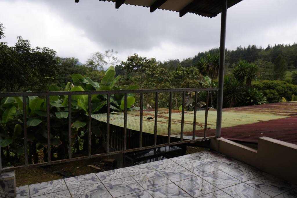 View from the balcony