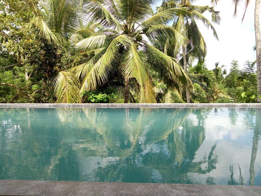 Stunning infinity pool in the beautiful nature