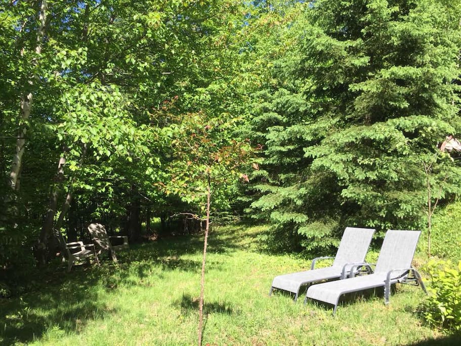 Petit Chantecler backyard