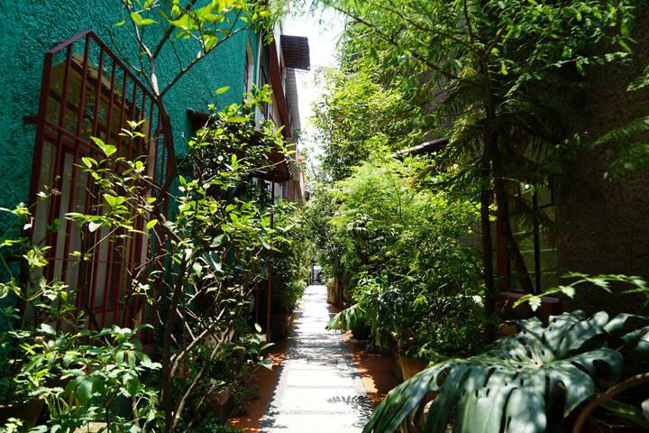 3 STORY TOWNHOUSE in the HEART of COYOACAN! gallery image 2