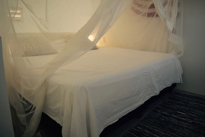 Кревет на видео со мрежа против комарци