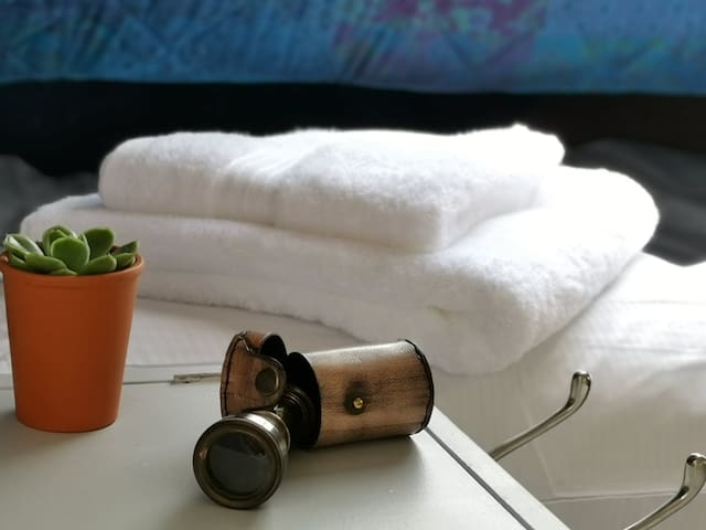 Cosy & Comfortable Houseboat in Bishopthorpe, York