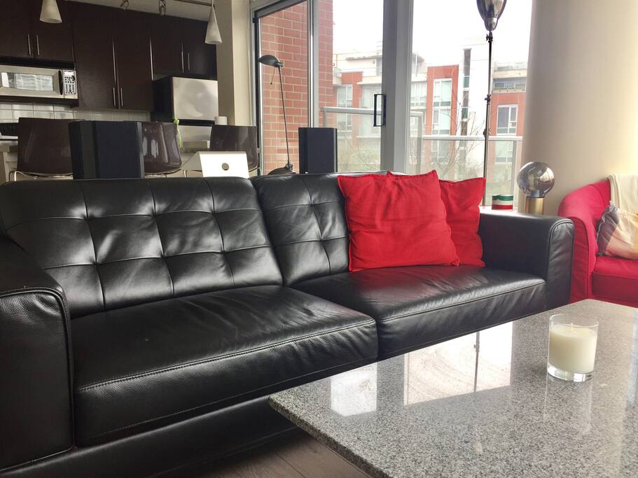 Living room couch