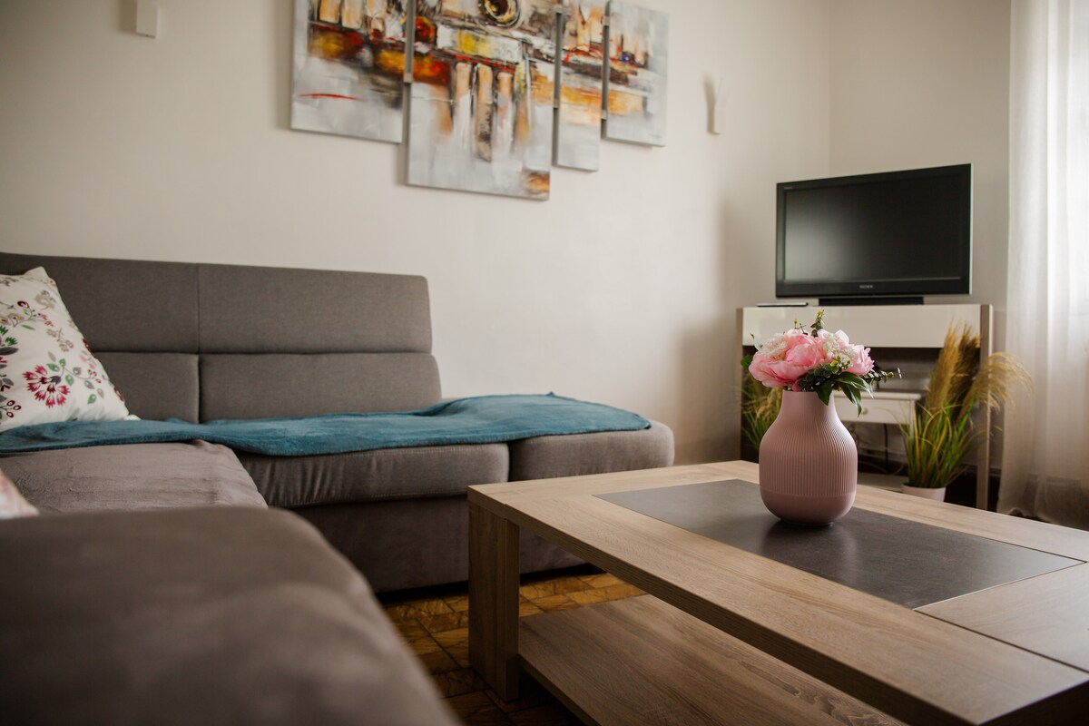 Popular Airbnb listing: family home with large garden La Teste in La Teste De Buch