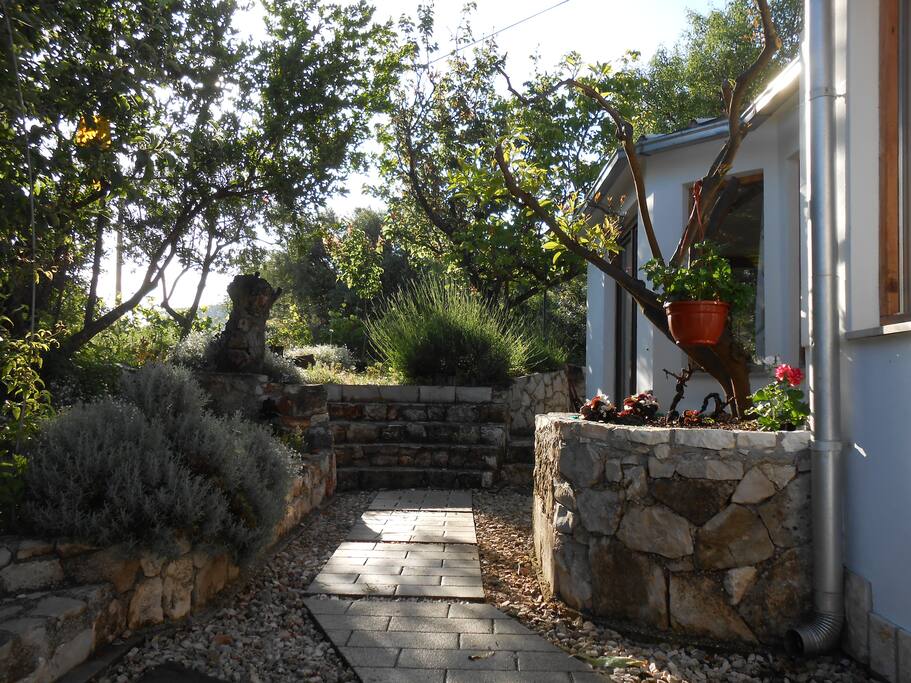 path leading to the terrace