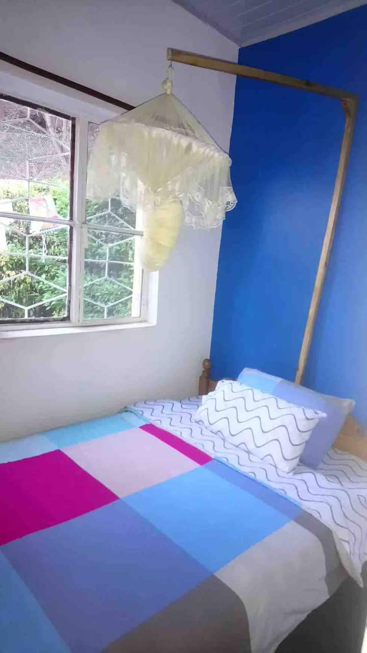 Habitación 2