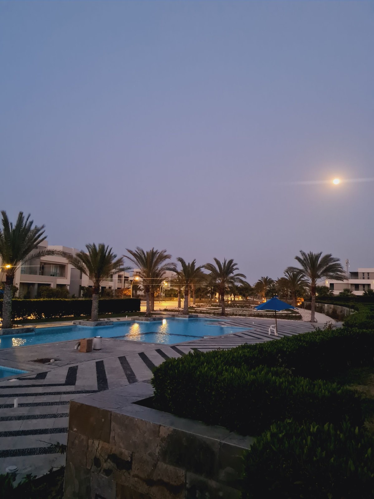 An outdoor pool area is illuminated by subtle lighting, surrounded by palm trees. The pool reflects the evening sky and is accentuated by patterned tiles. The moon can be seen in the sky, adding to the serene ambiance of the space.