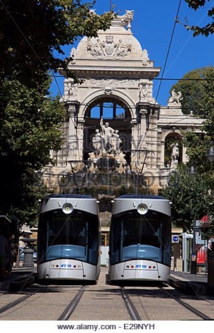 Au bas de la rue, le Tram peut vous mener jusqu'aux Docks des Suds, ou vous laisser à 3 min à pieds du Vieux-Port ou du MUCEM.