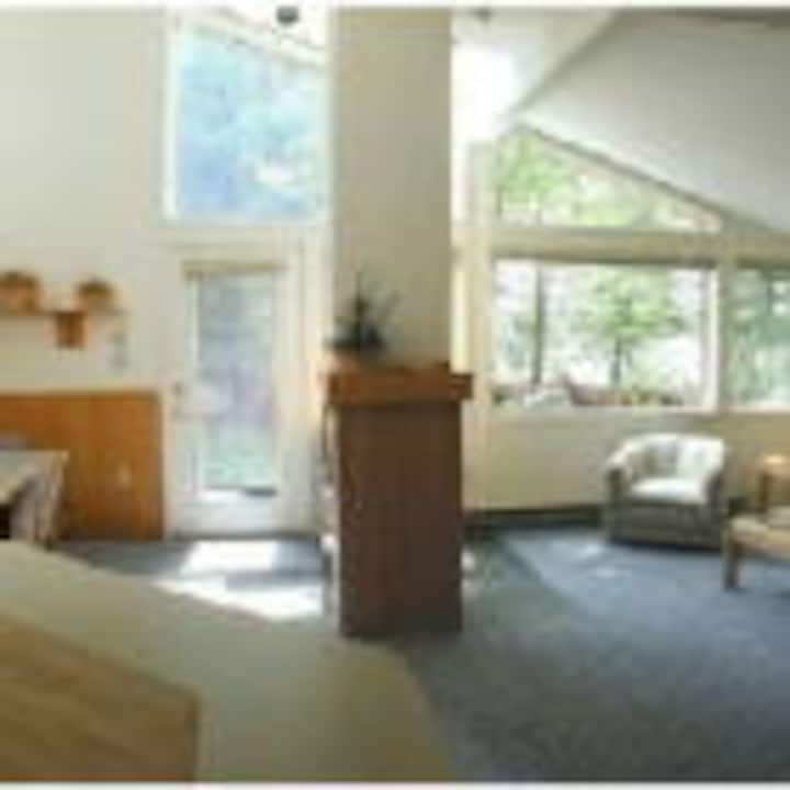 Waterville Valley / Mountain Sun Condos Townhouses for Rent in